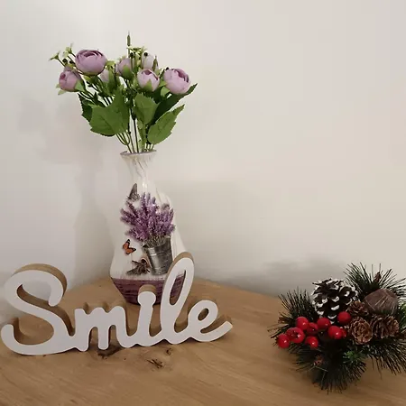 Apartamento Viva In Voždivac